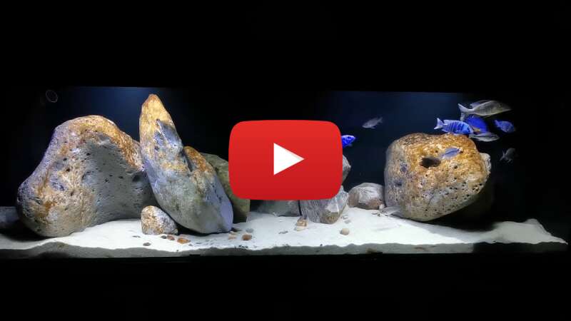 Video QS45ZHYLLU8 abspielen