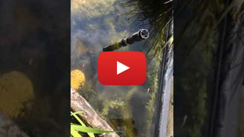 Video QUHRUeDgJWc abspielen