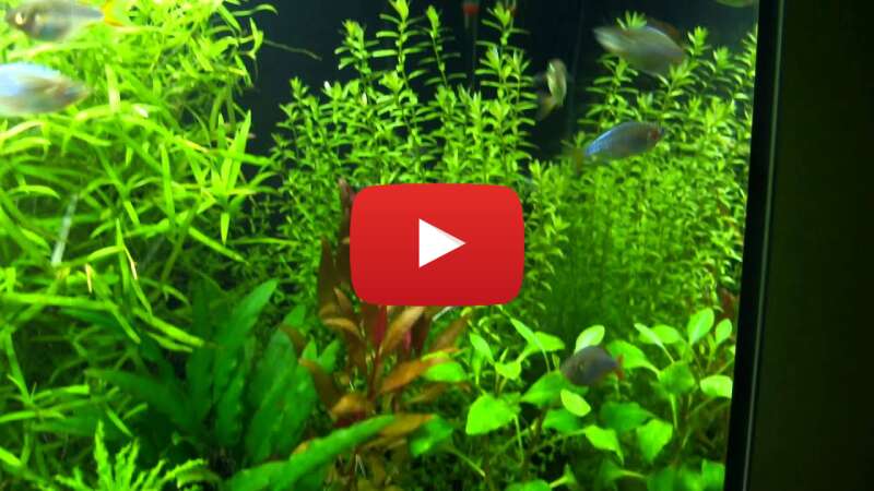 Video QmSbyMiCzto abspielen