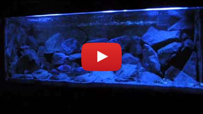 Video R9Yw506NJHo abspielen