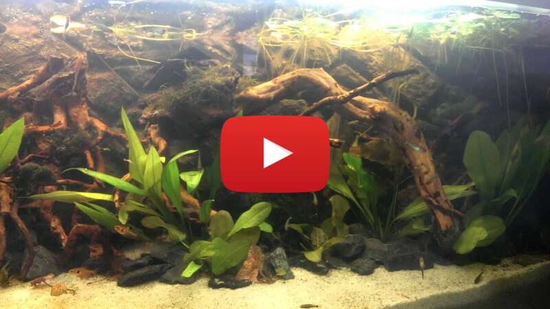 Video RLhc7wY390w abspielen