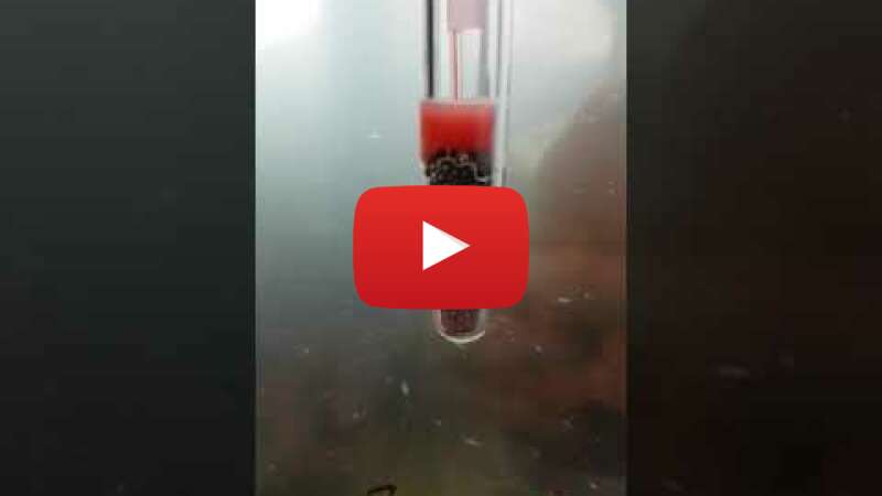 Video RNc54FMpTl0 abspielen