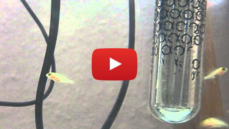 Video RP6b9UQri0A abspielen