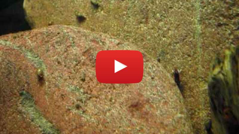 Video RtnUtS22ulo abspielen