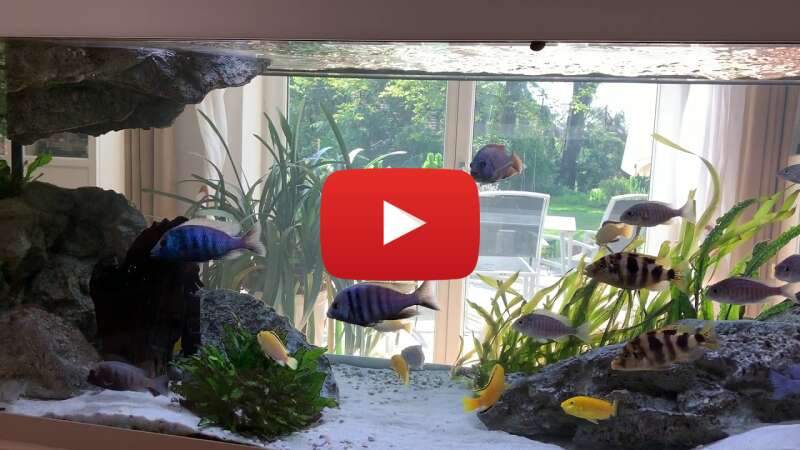 Video RzI08M88D64 abspielen