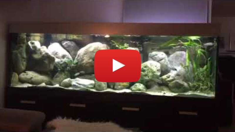 Video SKRl6TGF7gY abspielen