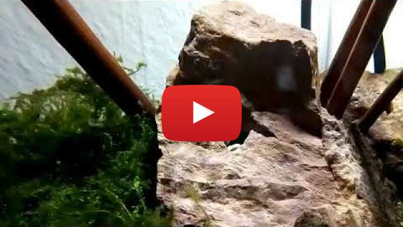 Video TdHyJKkcu-A abspielen