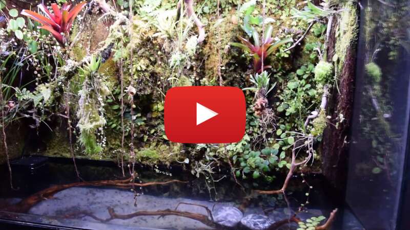 Video U9-6bVykJ10 abspielen