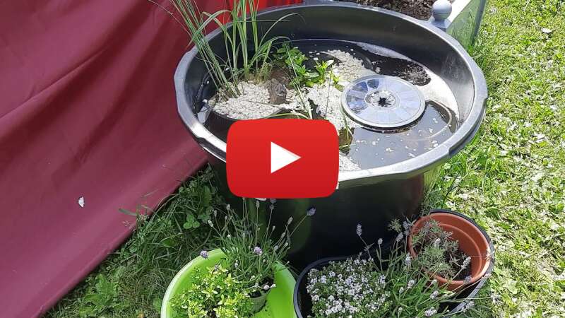 Video UAGMm2TAenE abspielen