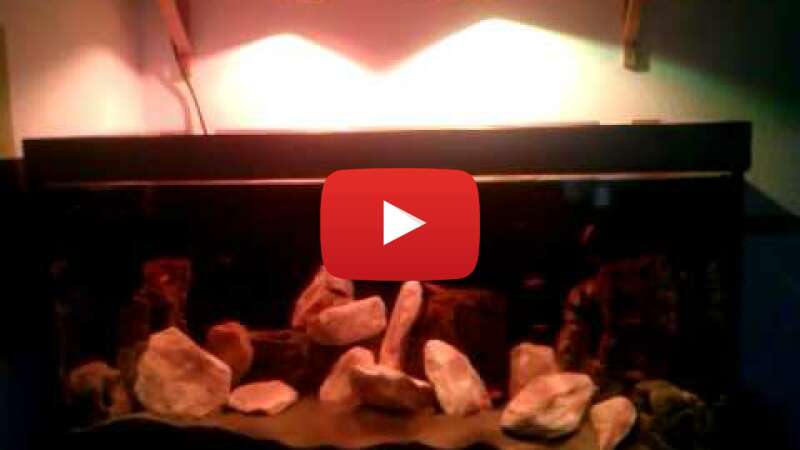 Video UYnBGmmetXw abspielen