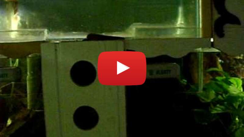 Video UfGJjTpc3yM abspielen