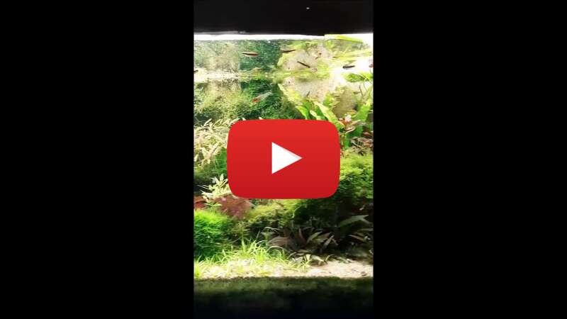 Video Uy7qg8lLDqw abspielen