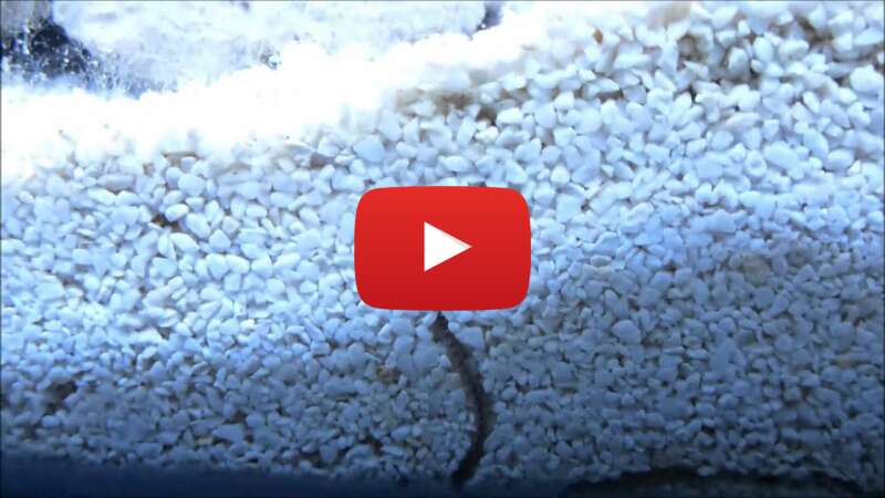 Video V47xheIHs8s abspielen