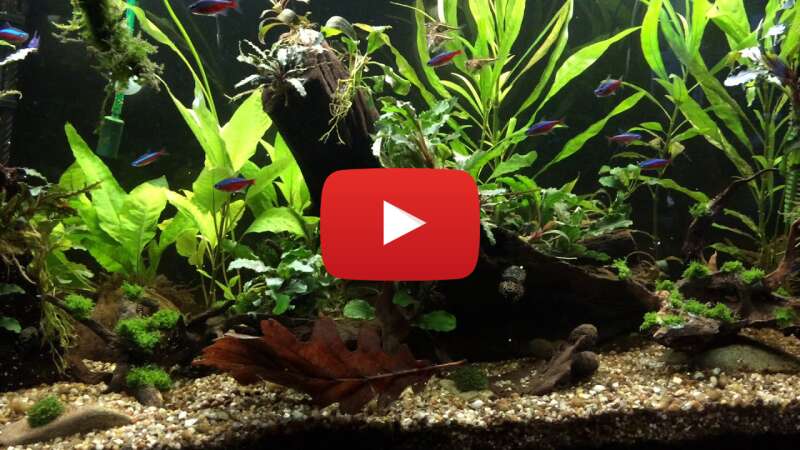 Video V6rHtk-S13A abspielen