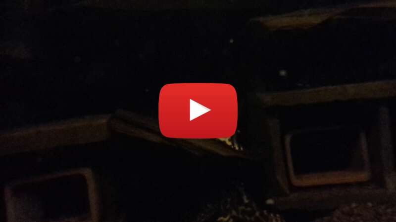 Video VFmDLSi71Ao abspielen