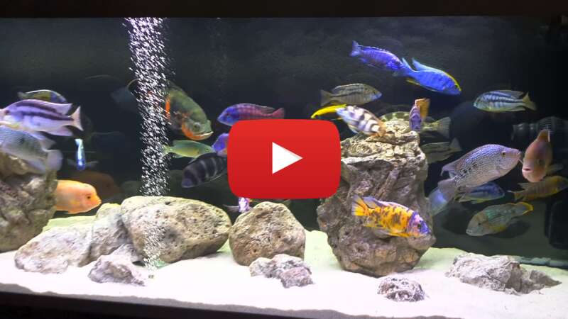 Video VGCOBy1rHuk abspielen