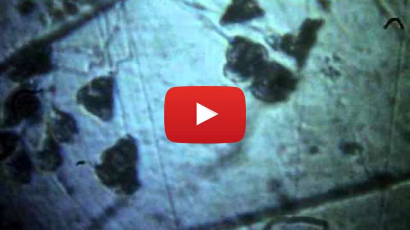 Video VNzhA-cwyNU abspielen