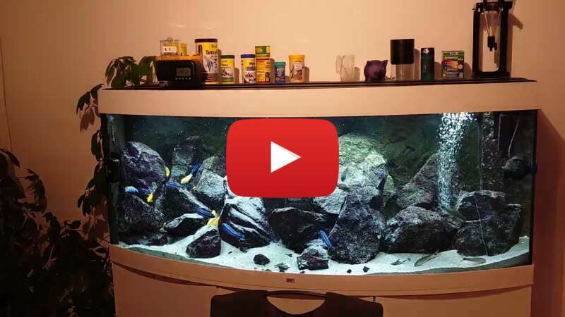 Video VX2MXDh4Bw0 abspielen