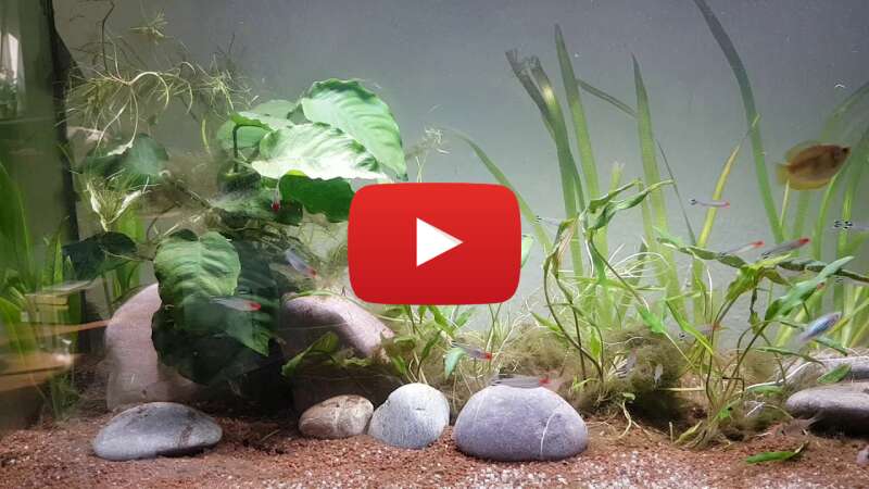 Video Vz10AoHt-0k abspielen