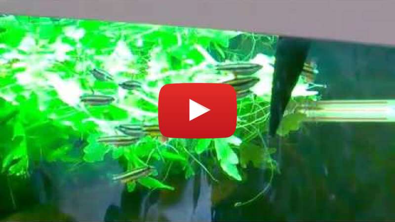 Video W7wYVs7SORQ abspielen