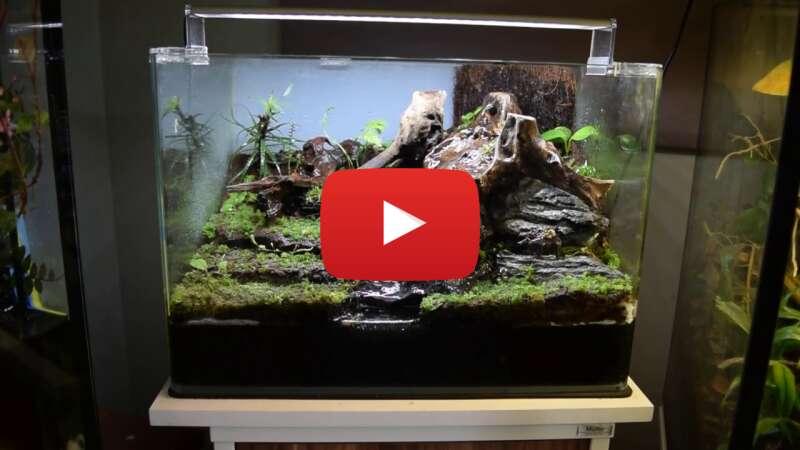 Video WOYQVbxxRIA abspielen