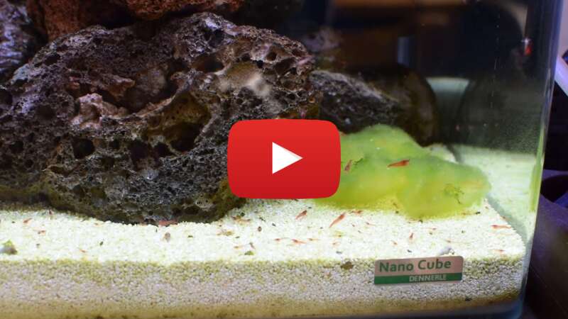 Video WwSLS22K348 abspielen