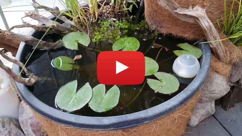 Video XMcu5nZ4dg4 abspielen