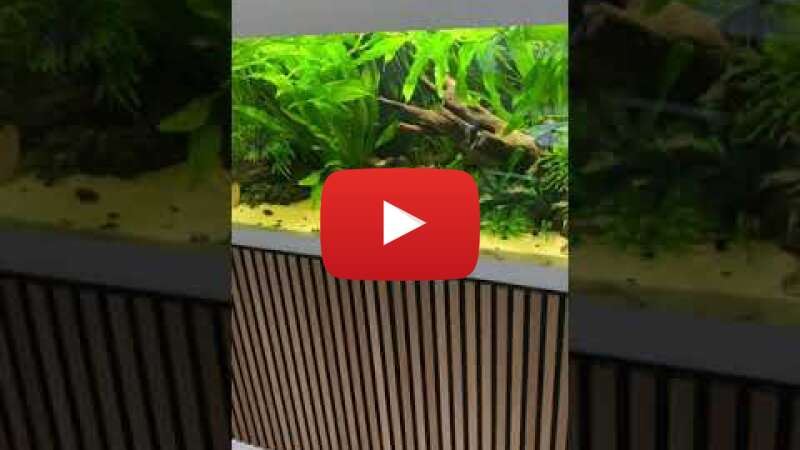 Video XNvZJT2qOpQ abspielen