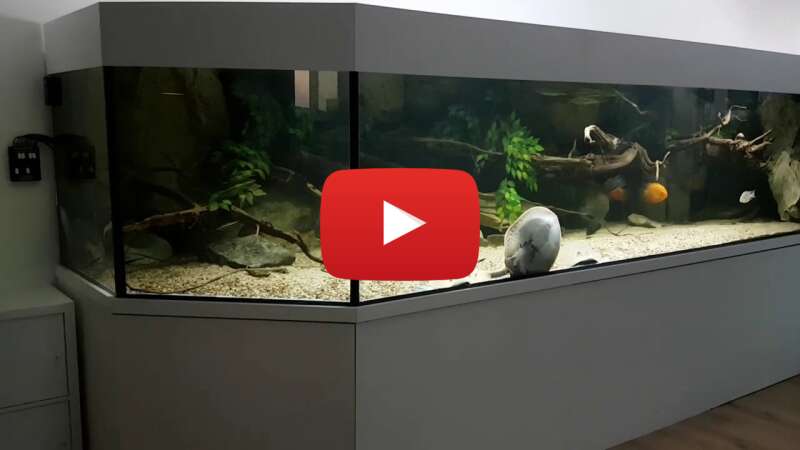 Video XQSv5a2UdAk abspielen