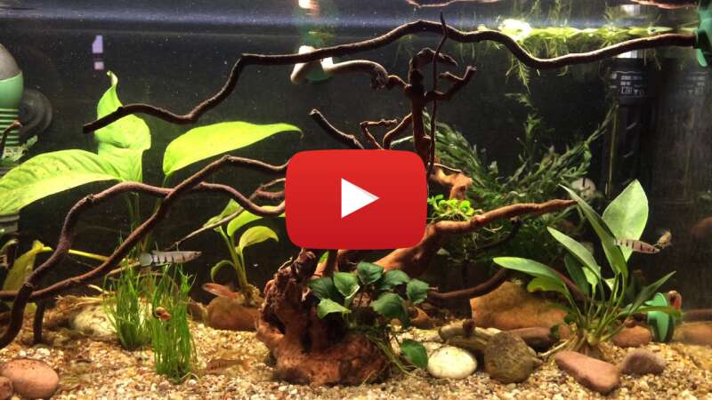 Video XbYRu-huTUk abspielen