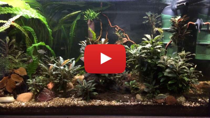 Video XkNLFluiVxY abspielen