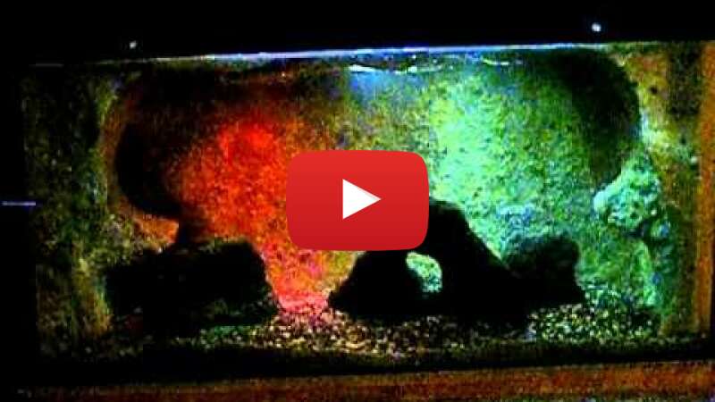 Video YHU5ua6Yq6U abspielen