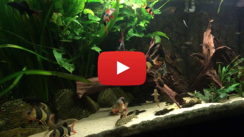 Video Ya3dozo72Zk abspielen