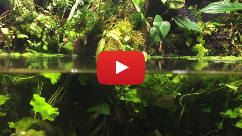 Video YdgHZqEkLO8 abspielen