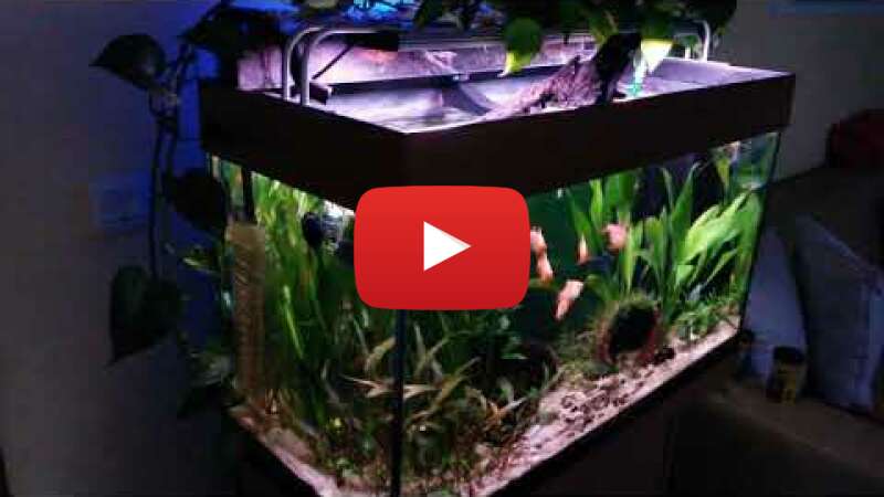 Video ZWNPwJAG2uQ abspielen