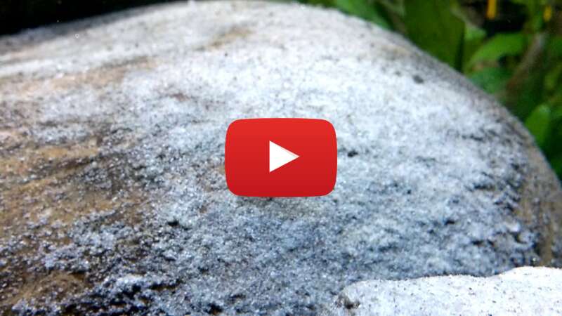 Video ZWubUJ3_kjQ abspielen