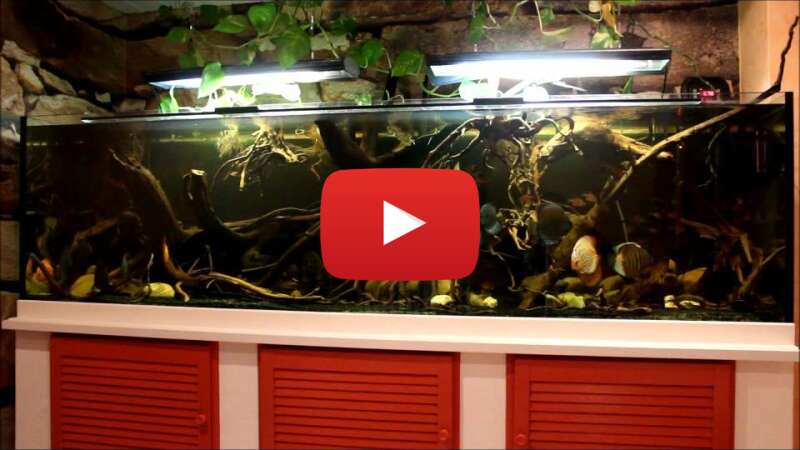 Video _HMP3i00-UE abspielen