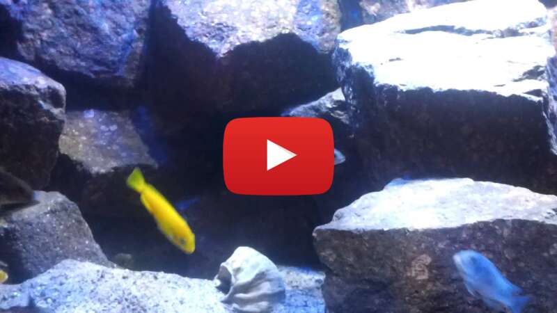 Video _o20hr8SDaI abspielen