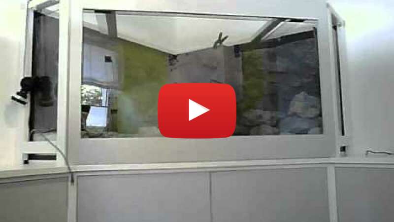 Video _pjWFM_kqik abspielen