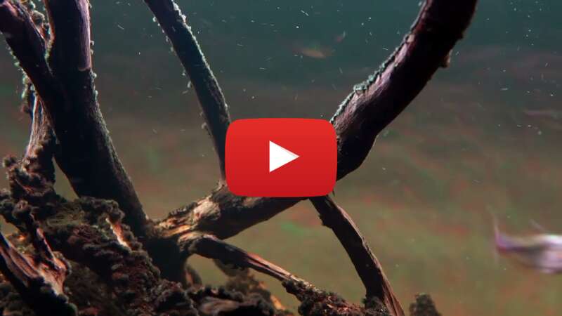 Video _rndA20RWLE abspielen