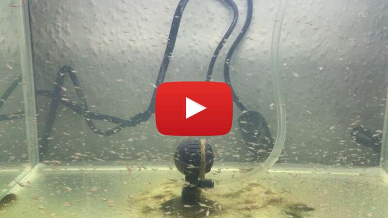 Video a34O_Qk_Dkg abspielen