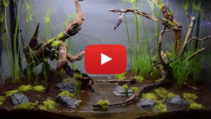 Video aO8DnRoZt0k abspielen