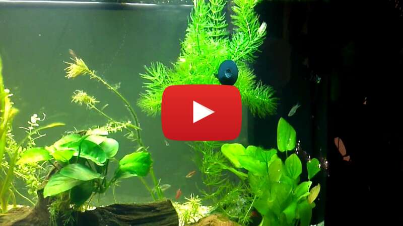 Video aW7DrJq-Qms abspielen