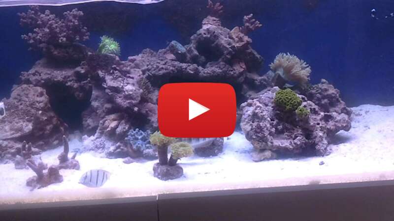 Video agdIBWc6IO8 abspielen