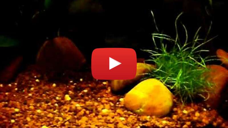 Video aggnJIK_vbg abspielen