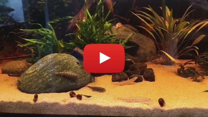 Video bEDSxtR_y_4 abspielen