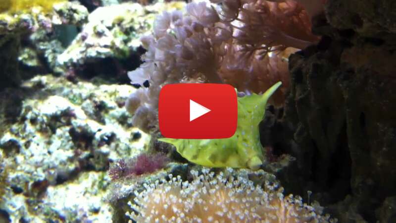 Video bY4-Gs4wbio abspielen