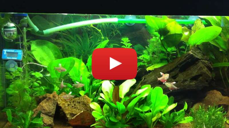 Video bnEnzyPc8u0 abspielen