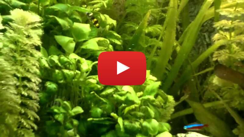 Video bpKNAkATvGU abspielen