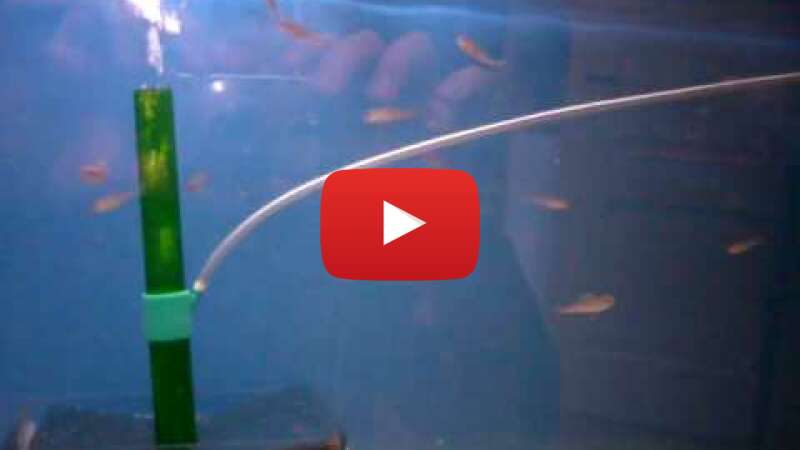 Video br6Wtd5_Wgk abspielen